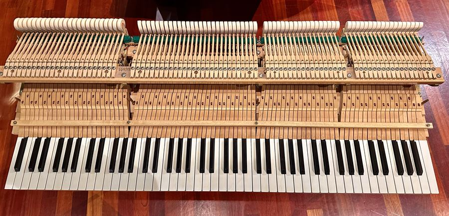 Grotrian-Steinweg 223 7'3" Semi-Concert Grand Piano – Restored – Ivory c.1985