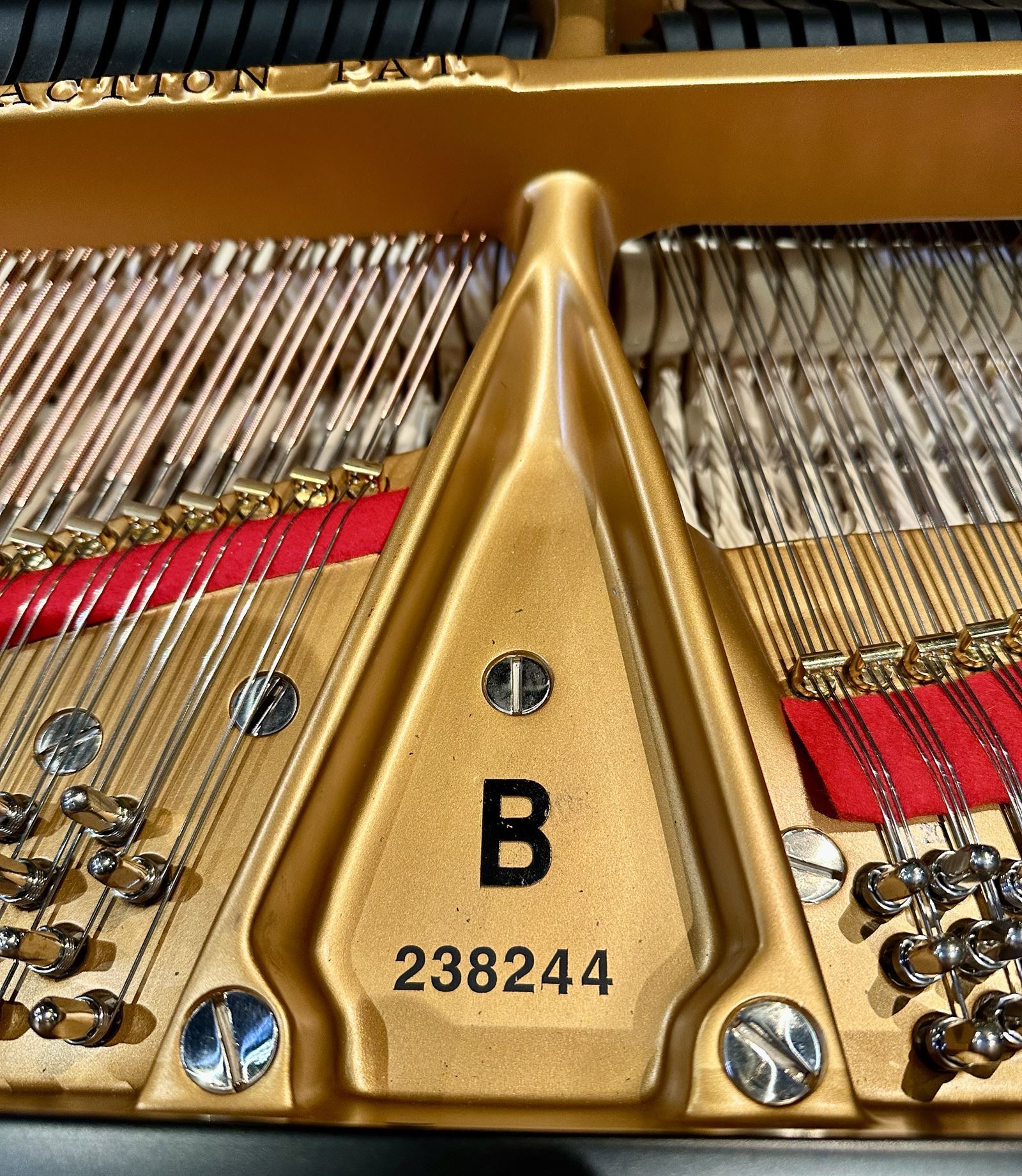 Steinway & Sons Model B 6ft 11 3/4" Semi Concert Grand - Authentically Restored