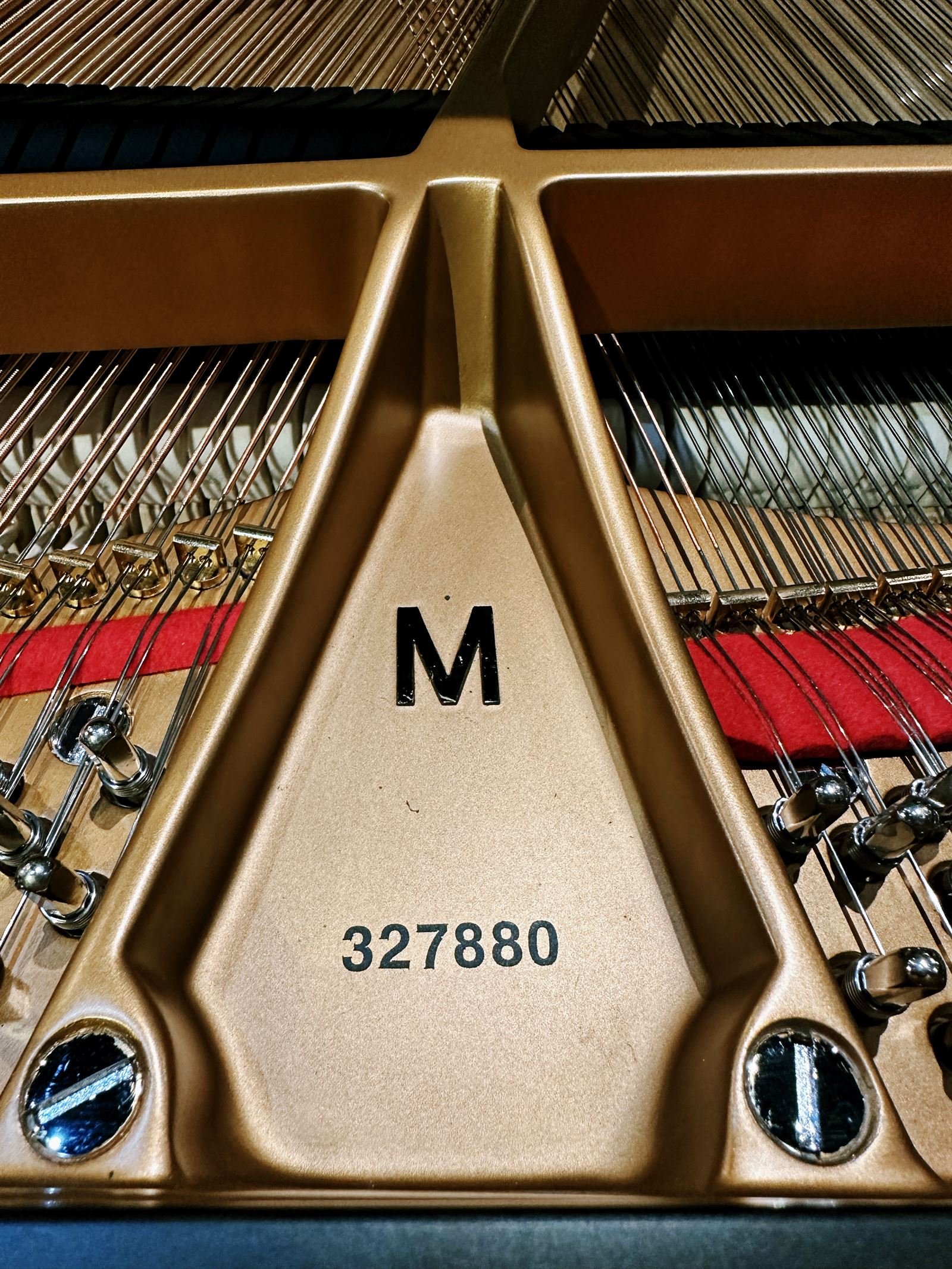 Steinway & Sons Model M 5ft 7" Medium Grand - Authentically Restored
