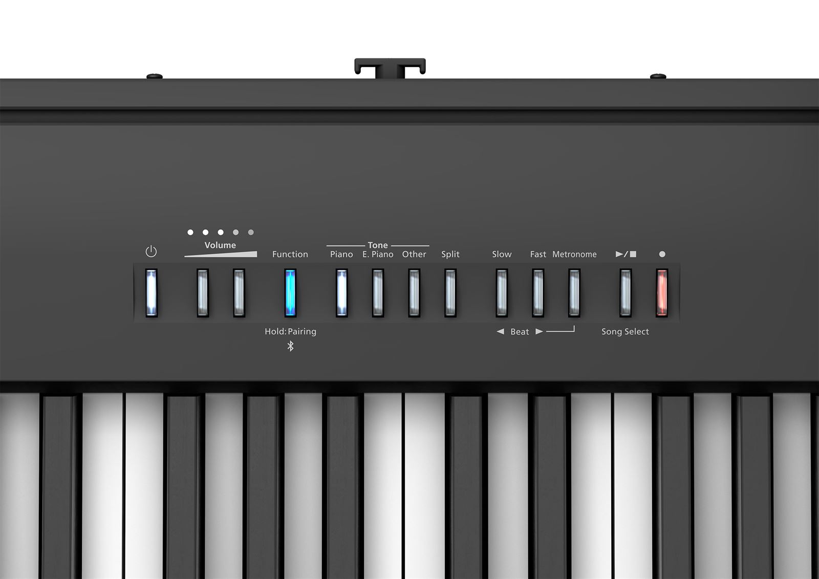 Roland Portable Digital Piano