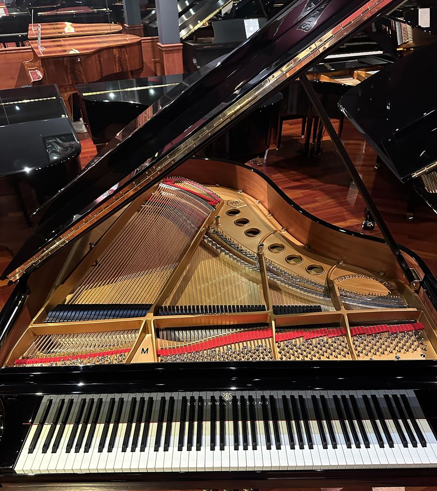 Steinway & Sons Model M 5ft 7" Medium Grand - Authentically Restored