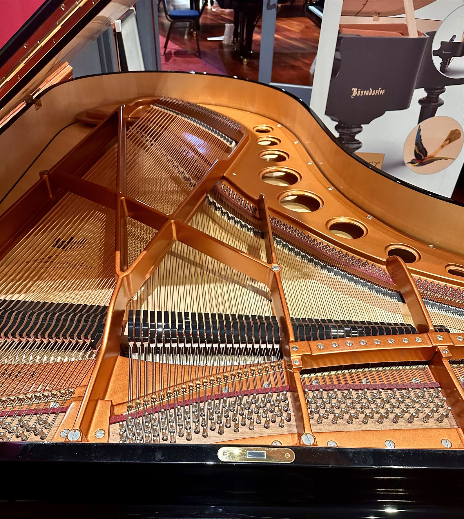 Bösendorfer 200 Schönbrunn Limited Edition Grand  - No. 9 of 9 6ft 7"